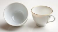 porcelain versus bone china