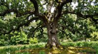 enduring elegance through longevity