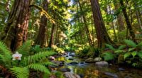 luxury brands prioritize sustainability