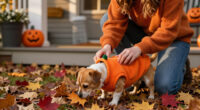 15 Best Halloween Costumes for Pets in 2027